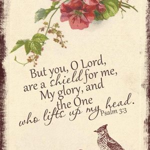 Meet your Posher, Talar